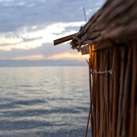 Falak Τάμπα Εξωτερικό φωτογραφία